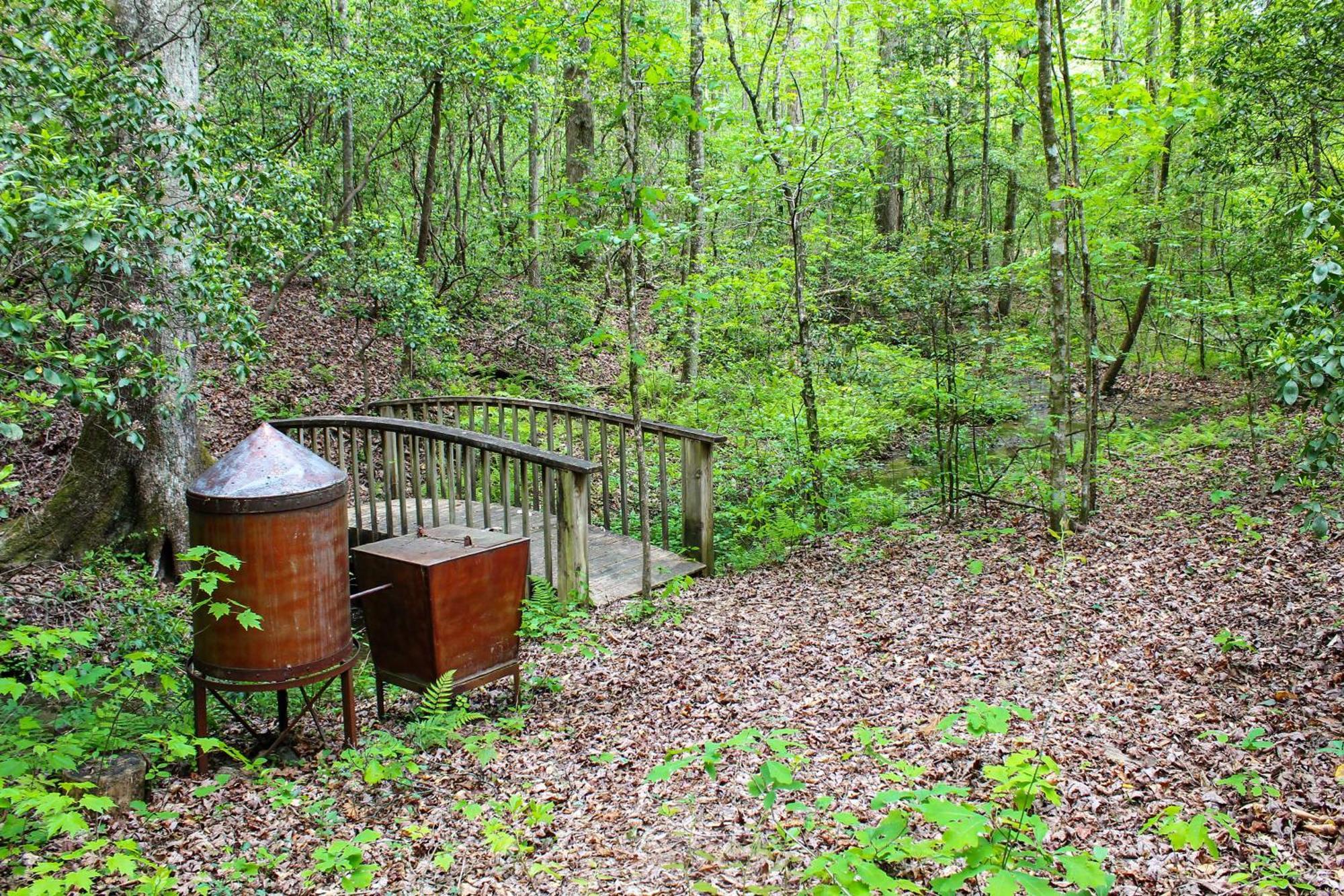 Sautee Nacoochee Mtn Paradise With Spacious Deck! エクステリア 写真
